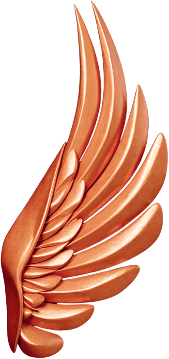 Bronze Rewards