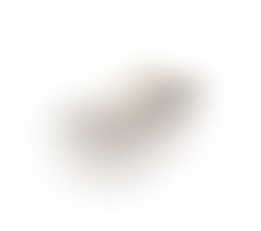 Shadow