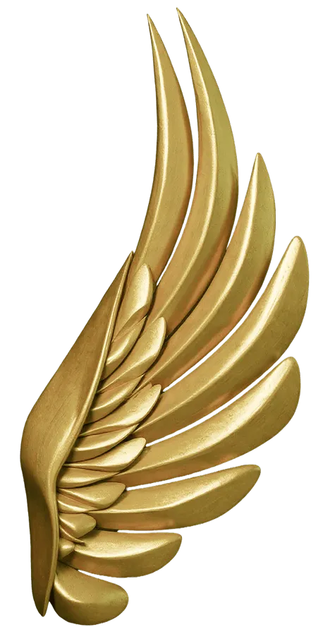 Gold wings
